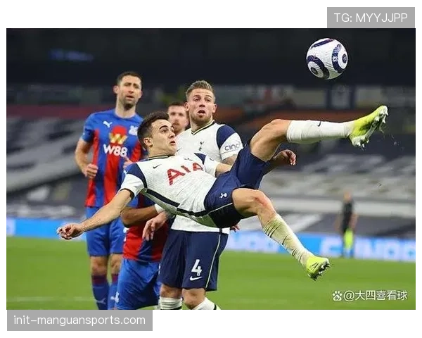 热刺VS纽卡斯尔联专家推荐：主场作战白百合被看好取胜